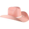 Shyanne Girls' Elastic Fit Straw Cowboy Hat -Wraner Clothing Shop 2000075887 650 P1