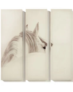 Giftcraft White Horse Canvas Wall Prints - Set Of 3