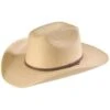 Atwood Hat Co. Kids Natural Palm Leaf Western Hat -Wraner Clothing Shop 282A70 19 P1