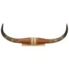 Authentic Small Steer Horns -Wraner Clothing Shop 284548 22 P1